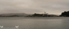 Port Otago Ltd. Port Chalmers, Dunedin, NZ
