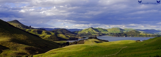 View from Sandymount, Otago Peninsula, New Zealand.